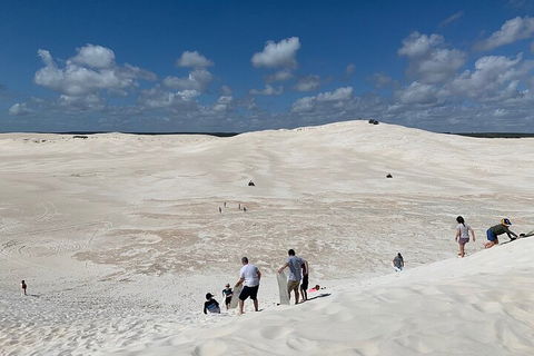 Pinnacles Day Trip From Perth Including Yanchep National Park - Accommodation Burleigh 2