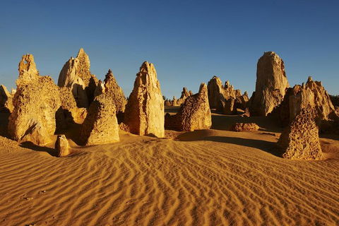 Pinnacles Day Trip From Perth Including Yanchep National Park - Accommodation Burleigh 5