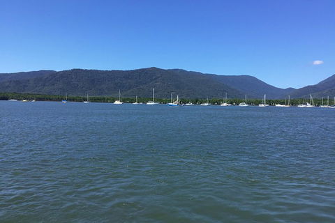 Cairns City Tour - Accommodation Burleigh 3