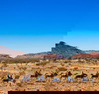 Alice Springs Camel Tour - Accommodation Burleigh