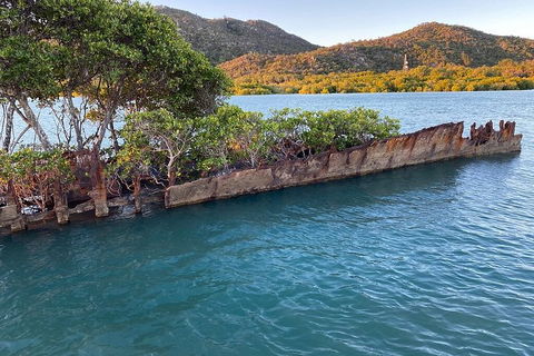 Aquascene Magnetic Island Discovery Tour - Accommodation Burleigh 3