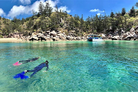 Aquascene Magnetic Island Discovery Tour - Accommodation Burleigh 4