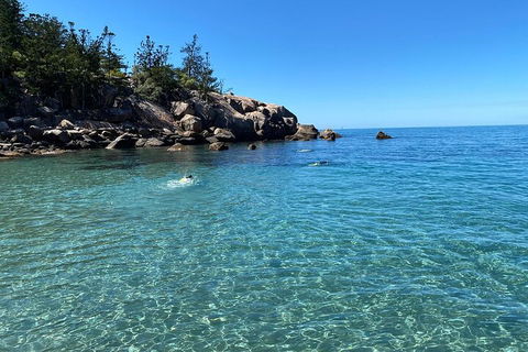 Aquascene Magnetic Island Discovery Tour - Accommodation Burleigh 5