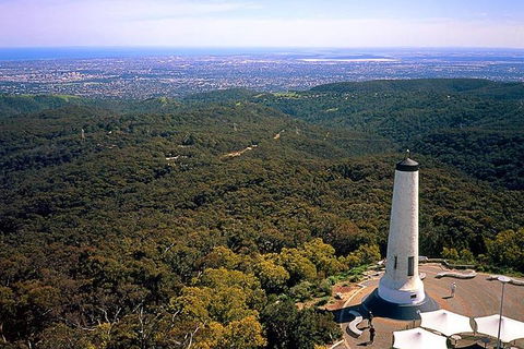 Adelaide Shore Excursion: Adelaide City Tour By Private Limo - Accommodation Burleigh 3