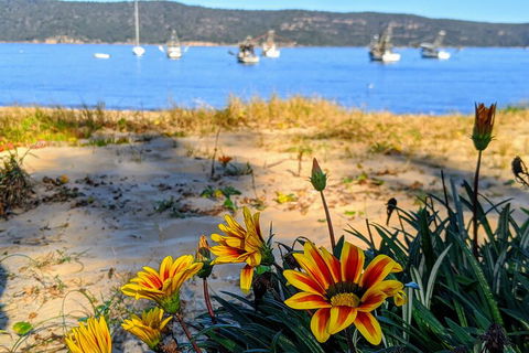 Central Coast Explorer With 'Personalised Sydney Tours' - Accommodation Burleigh 2