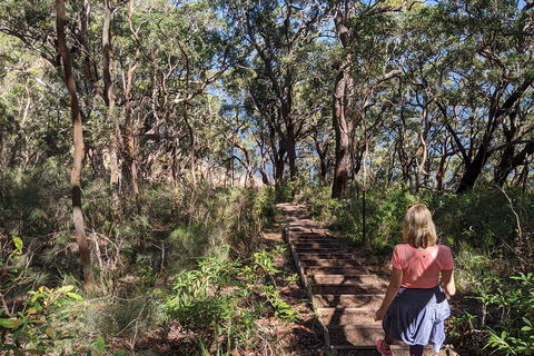 Central Coast Explorer With 'Personalised Sydney Tours' - Accommodation Burleigh 4