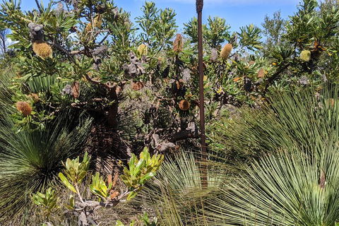 Australian Wildlife & Waterfalls Private Tour With 'Personalised Sydney Tours' - Accommodation Burleigh 1