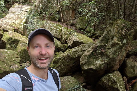 Australian Wildlife & Waterfalls Private Tour With 'Personalised Sydney Tours' - Accommodation Burleigh 4