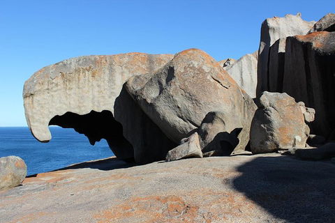 Kangaroo Island Personal Group Tours - Accommodation Burleigh 2
