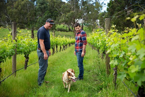 LGBT+ Friendly Full Day Yarra Valley & Dandenong Ranges Private Tour - Accommodation Burleigh 4