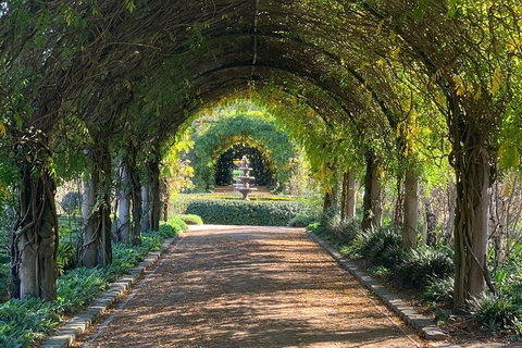 LGBT+ Friendly Full Day Yarra Valley & Dandenong Ranges Private Tour - Accommodation Burleigh 5