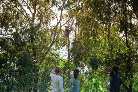 LGBT+ Friendly 3 Day Tour The Grampians, Daylesford & Ballarat - Accommodation Burleigh 4