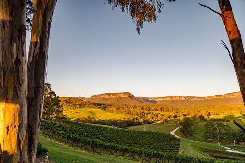 Taste Of The Blue Mountains - Lunch & Wine Tasting, Beer, Cider & Gin Tasting - Accommodation Burleigh 1