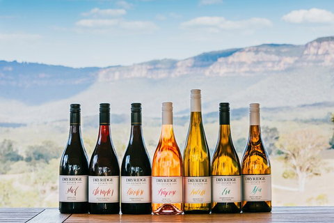 Taste Of The Blue Mountains - Lunch & Wine Tasting, Beer, Cider & Gin Tasting - Accommodation Burleigh 3
