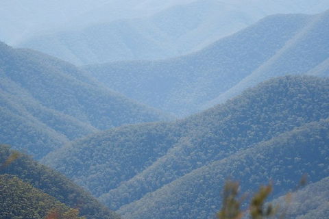 From The Mountains To The Bay - 4 Day Rediscovery Private Tour - Accommodation Burleigh 1