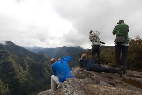 From The Mountains To The Bay - 4 Day Rediscovery Private Tour - Accommodation Burleigh 4