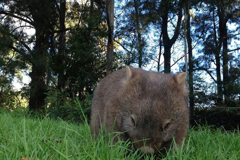 From The Mountains To The Bay - 4 Day Rediscovery Private Tour - Accommodation Burleigh 5