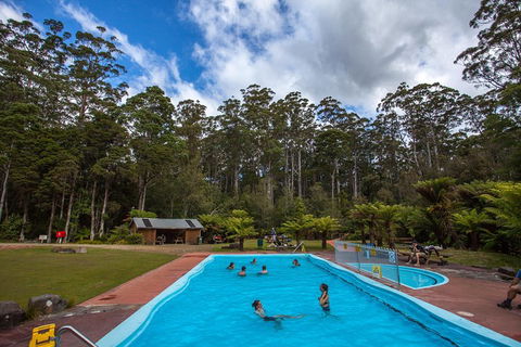 Tahune Airwalk Active Day Trip From Hobart Including Hastings Caves - Accommodation Burleigh 0