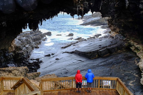 Full-Day Kangaroo Island Safari From Penneshaw - Accommodation Burleigh 1