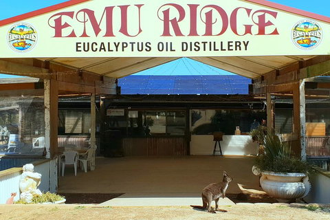 Full-Day Kangaroo Island Safari From Penneshaw - Accommodation Burleigh 2