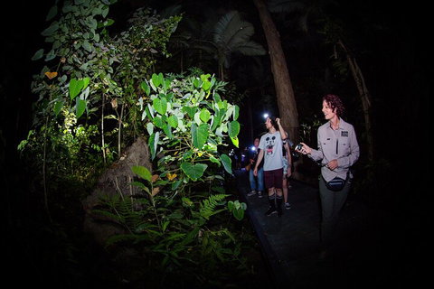 Let's Go Buggin & Let's Go Shroomin - Photography & Nature Walking Tours - Accommodation Burleigh 4