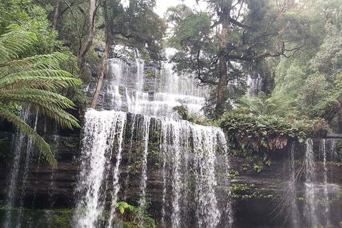 6-Day Hearty Tasmania Tour (Tasmania In A Circle) - Accommodation Burleigh 0