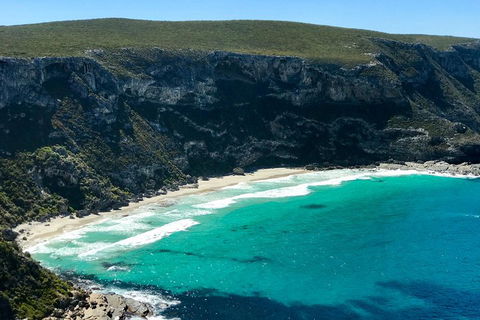 Kangaroo Island Scenic Trail Tour - Accommodation Burleigh 4
