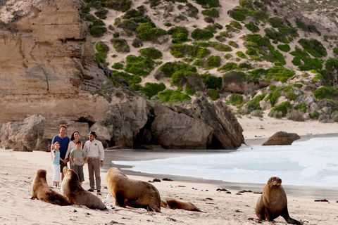 Kangaroo Island Scenic Trail Tour - Accommodation Burleigh 5
