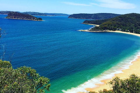 Central Coast Private Tour From Sydney, With Australian Reptile Park Option - Accommodation Burleigh 5