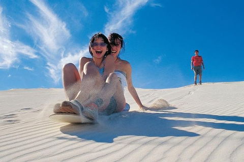 Full Day Pinnacle Desert Explorer From Perth Including Hillarys And Lancelin Sandboarding - Accommodation Burleigh 1