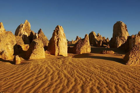 Full Day Pinnacle Desert Explorer From Perth Including Hillarys And Lancelin Sandboarding - Accommodation Burleigh 3
