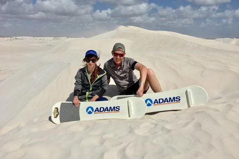 Full Day Pinnacle Desert Explorer From Perth Including Hillarys And Lancelin Sandboarding - Accommodation Burleigh 4