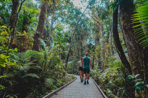 Full Day Cooktown Private Tour - Accommodation Burleigh 0