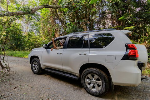 Full Day Cooktown Private Tour - Accommodation Burleigh 3