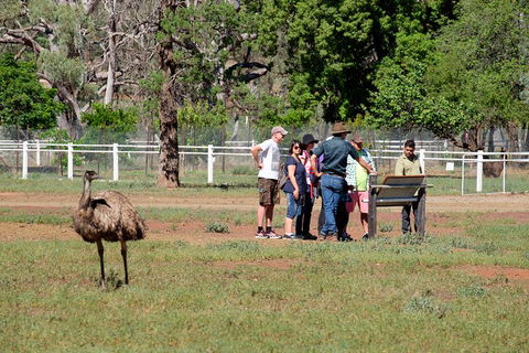 Yura Udnyu - Our Culture, Your Culture (Aboriginal Cultural Walk) - Accommodation Burleigh 1
