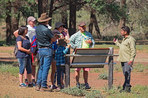 Yura Udnyu - Our Culture, Your Culture (Aboriginal Cultural Walk) - Accommodation Burleigh 2
