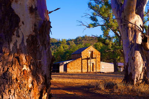 Yura Udnyu - Our Culture, Your Culture (Aboriginal Cultural Walk) - Accommodation Burleigh 4