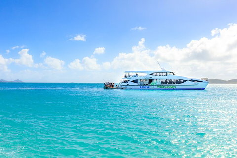 Whitehaven Beach And Daydream Island Cruise - Accommodation Burleigh 2
