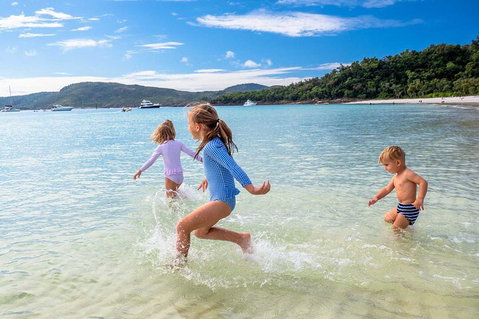 Whitehaven Beach And Daydream Island Cruise - Accommodation Burleigh 3