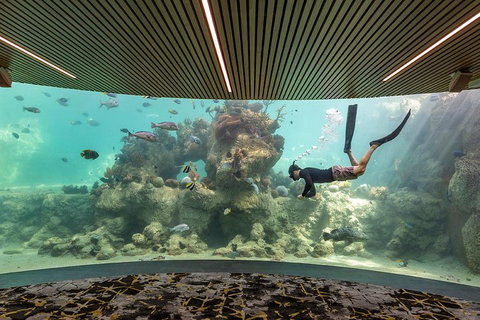 Whitehaven Beach And Daydream Island Cruise - Accommodation Burleigh 4