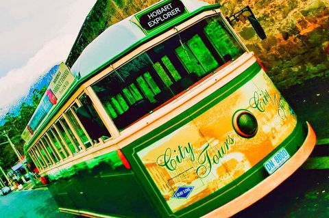 Hobart Half-Day Sightseeing Coach Tram Tour - Accommodation Burleigh 5