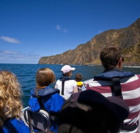 Seal Island Boat Tour from Victor Harbor