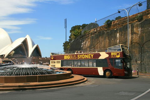 Big Bus Sydney And Bondi Hop-on Hop-off Tour - Accommodation Burleigh 3