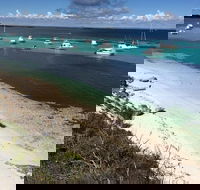 Experience Rottnest with Ferry  Bike Hire from Perth or Fremantle - Accommodation Burleigh
