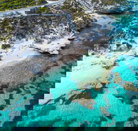Rottnest Island Round-Trip Ferry from Perth or Fremantle - Accommodation Burleigh