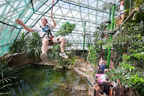 Cairns ZOOM And Wildlife Dome - Accommodation Burleigh 4