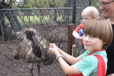 Swan Valley Half-Day Food Tour And Wine Trail From Perth - Accommodation Burleigh 5