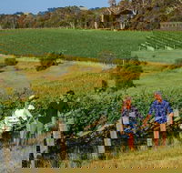 10 Day Perth to Adelaide Private Tour - The Great Australian Wilderness Journey - Accommodation Burleigh