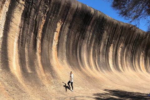 6 Day Esperance & Margaret River Adventure Tour - Accommodation Burleigh 4