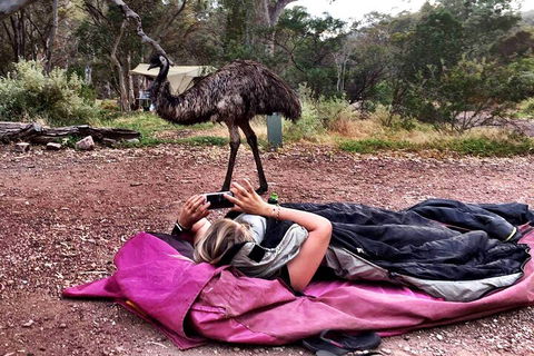 6 Day Esperance & Margaret River Adventure Tour - Accommodation Burleigh 5